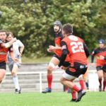 71497415_2303997129722213_7028084805849841664_n