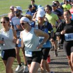 0e395d02-adcf-4ff7-8ba6-52d0d90ec034