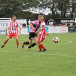 17ae363e-4e27-485a-9767-3536c9009a33