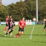 e1a16b38-6d18-43f3-9221-98572701f3e0