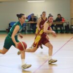 bbe5c5c7-2c09-46a5-ab1e-e6de77913a53